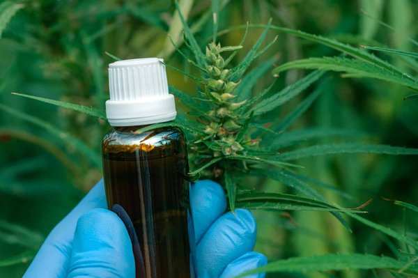 Les 5 meilleurs comparateurs pour acheter du cbd en ligne